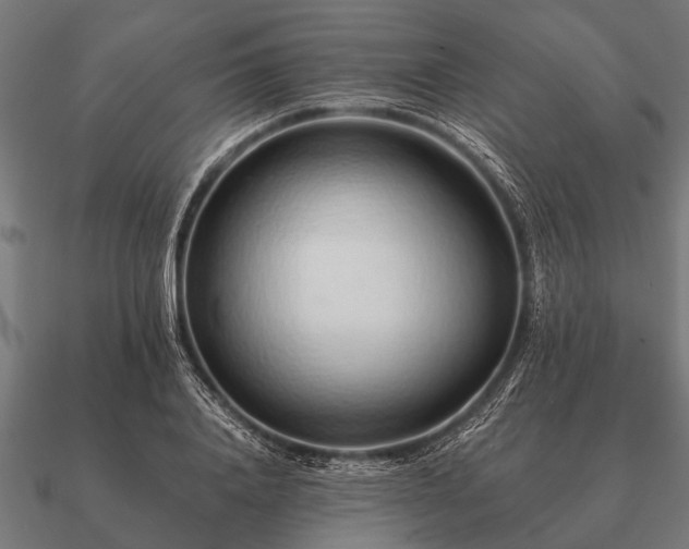 X0000090900840200708061502