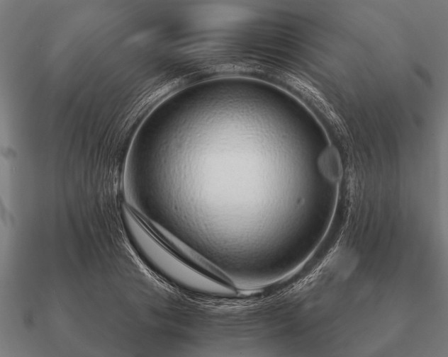 X0000090900841200708061502