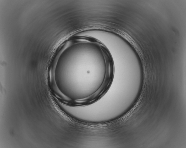 X0000090900842200708061502