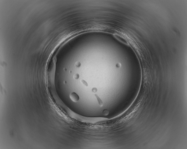 X0000090900843200708061502