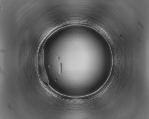 X0000090900844200708061502