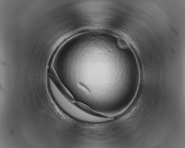 X0000090900845200708061502