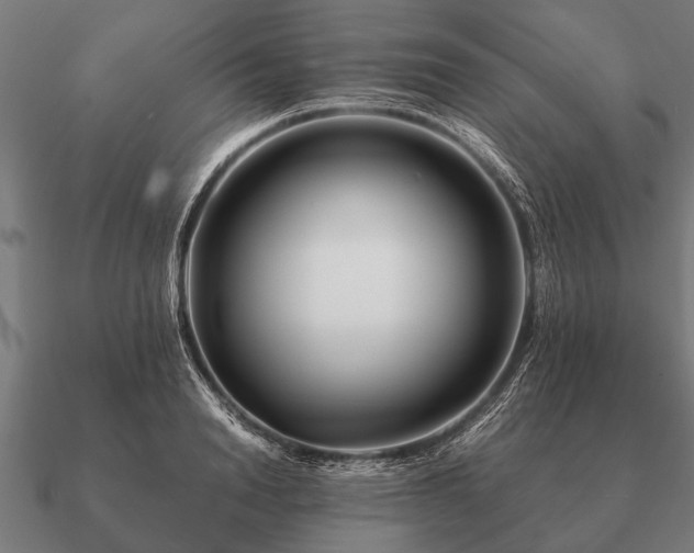 X0000090900846200708061502