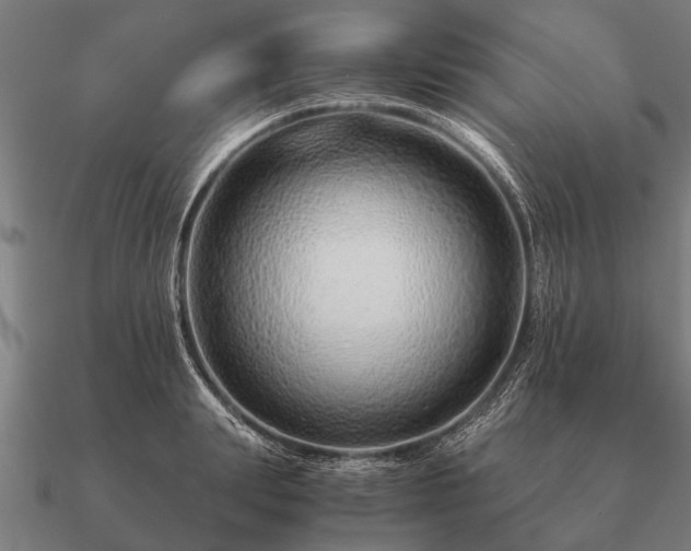 X0000090900847200708061502