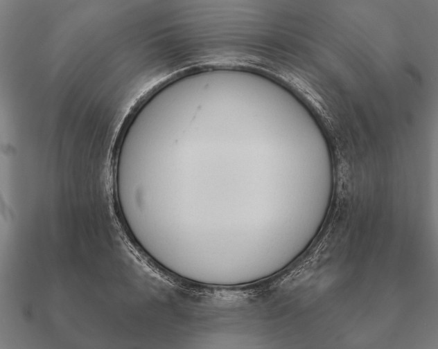 X0000090900848200708061502