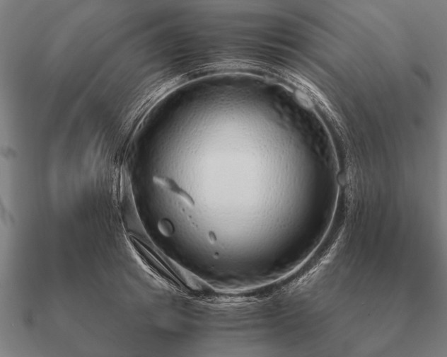 X0000090900849200708061502