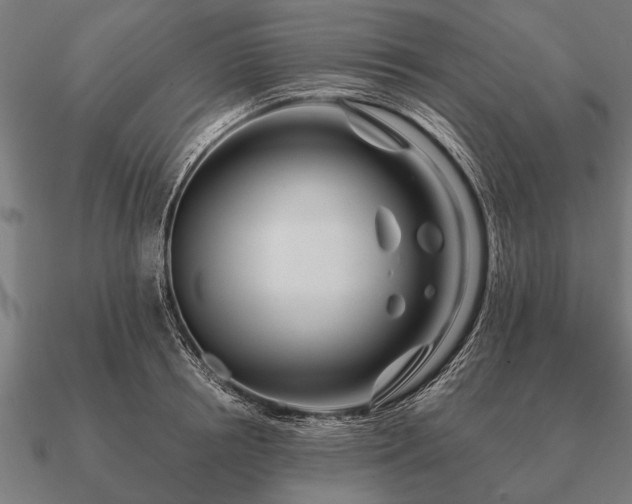 X0000090900850200708061502