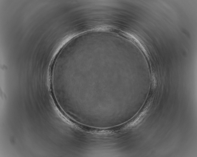 X0000090900851200708061502