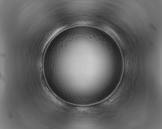 X0000090900852200708061502