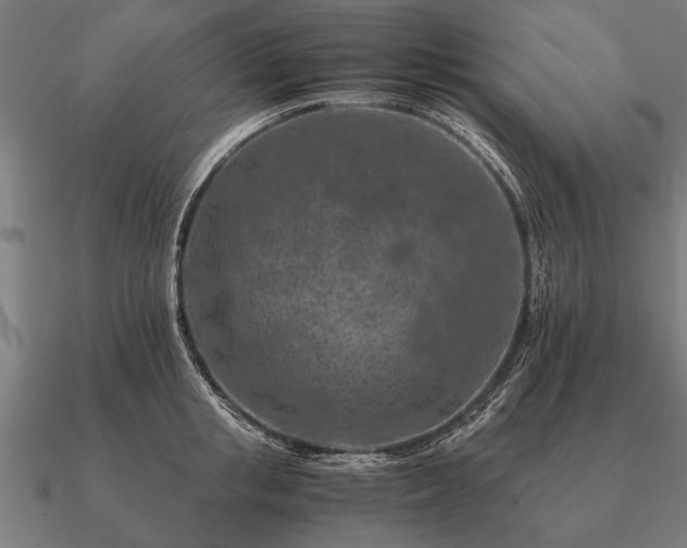 X0000090900853200708061502