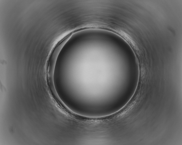 X0000090900854200708061502