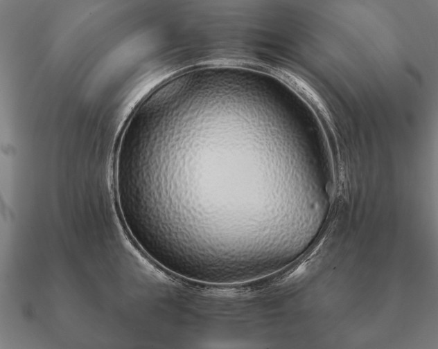 X0000090900855200708061502