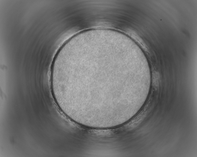 X0000090900856200708061503