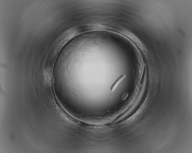 X0000090900857200708061503