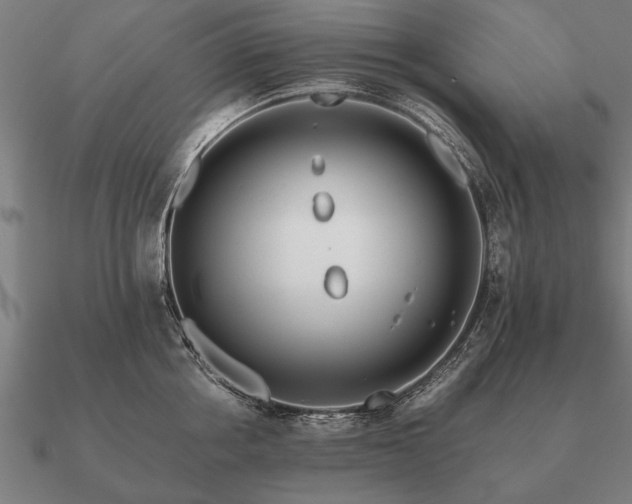 X0000090900858200708061503