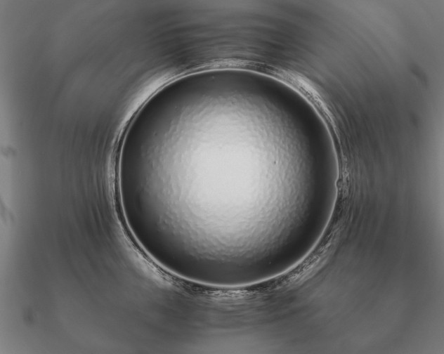 X0000090900859200708061503