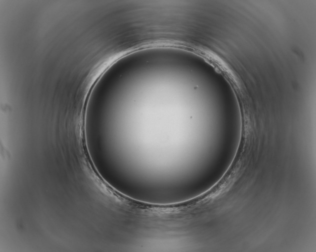 X0000090900860200708061503