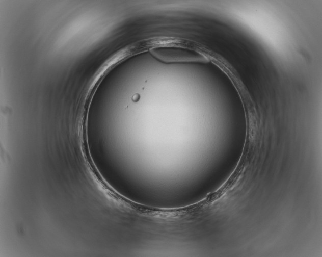 X0000090900861200708061503