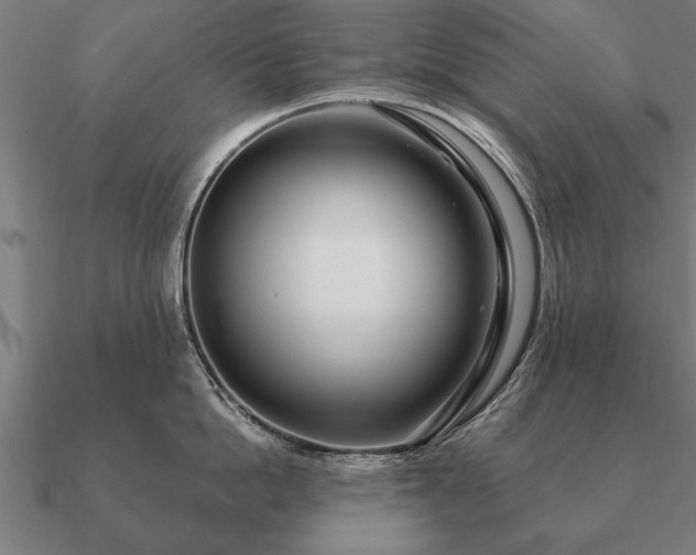 X0000090900862200708061503