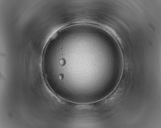 X0000090900863200708061503