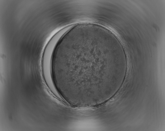 X0000090900864200708061503