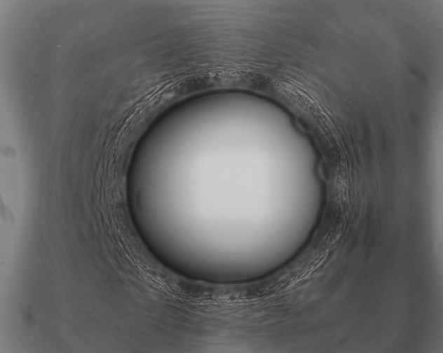 X0000090900865200708061502