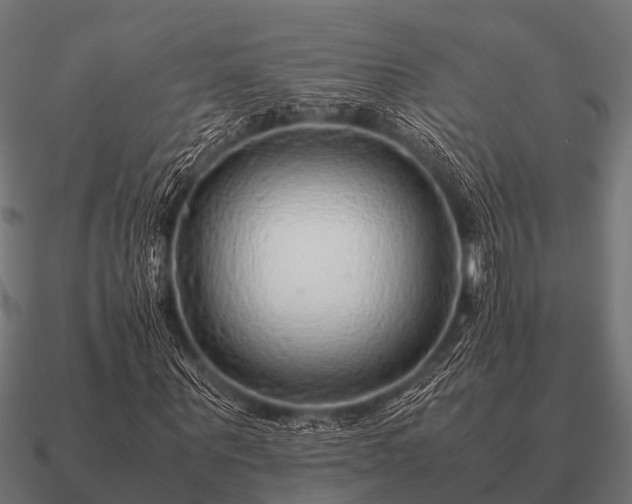 X0000090900867200708061502