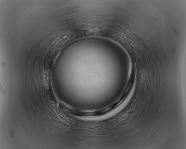 X0000090900868200708061502