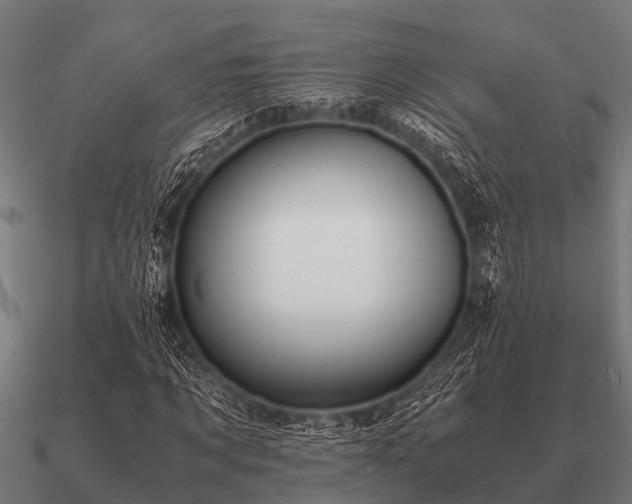 X0000090900869200708061502