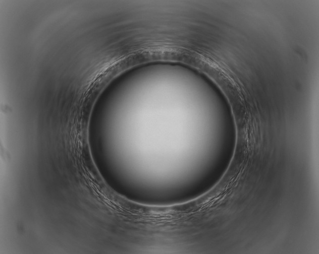 X0000090900870200708061502