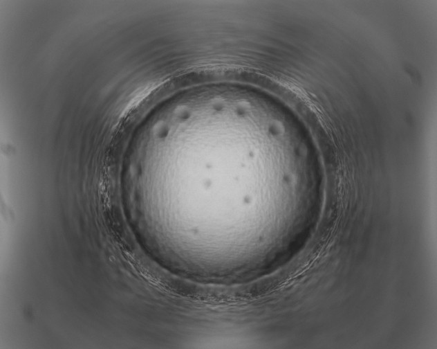 X0000090900871200708061502