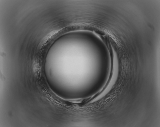 X0000090900872200708061502