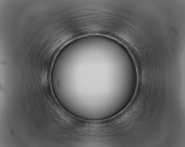 X0000090900873200708061502