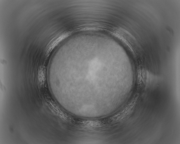 X0000090900874200708061502