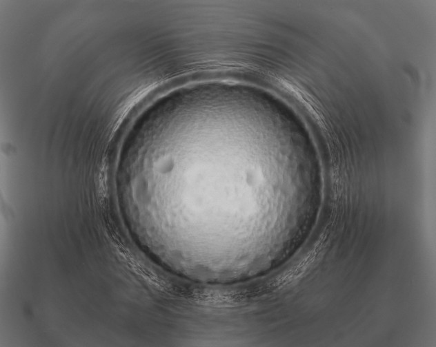 X0000090900875200708061502