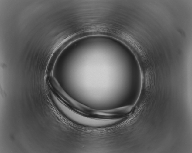 X0000090900876200708061502