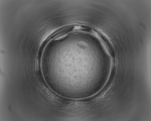 X0000090900877200708061502