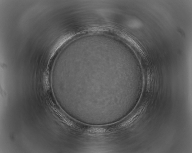 X0000090900878200708061502