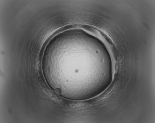 X0000090900879200708061502