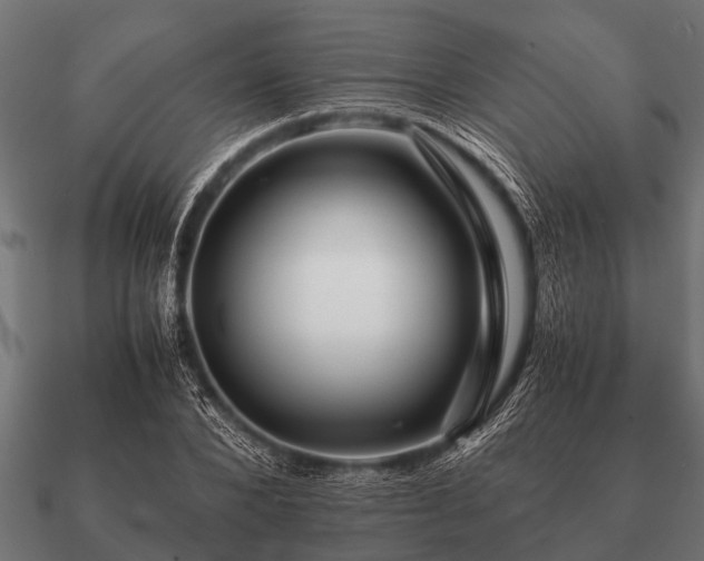 X0000090900880200708061502