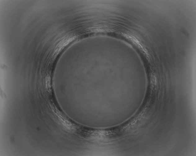 X0000090900881200708061502