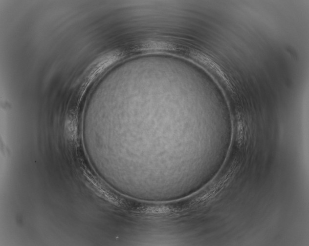 X0000090900882200708061502