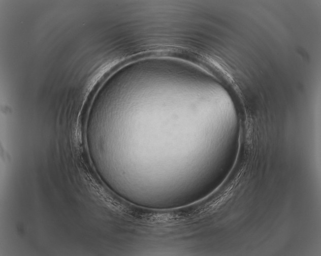 X0000090900883200708061502