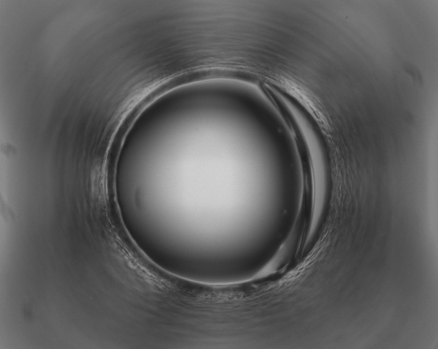 X0000090900884200708061502