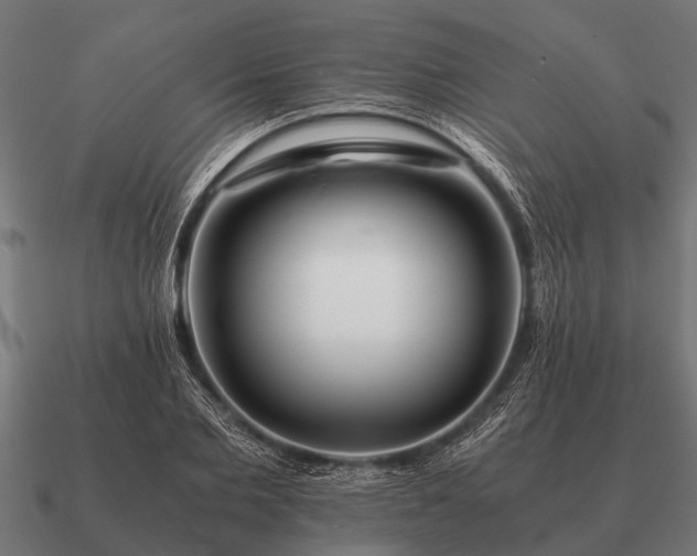 X0000090900885200708061502