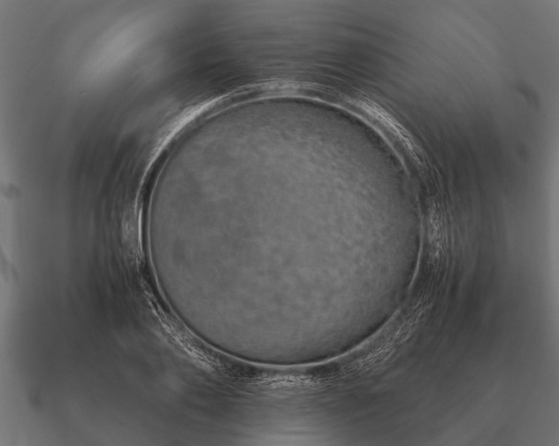 X0000090900886200708061502