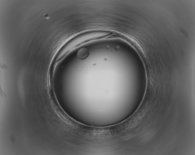 X0000090900887200708061502