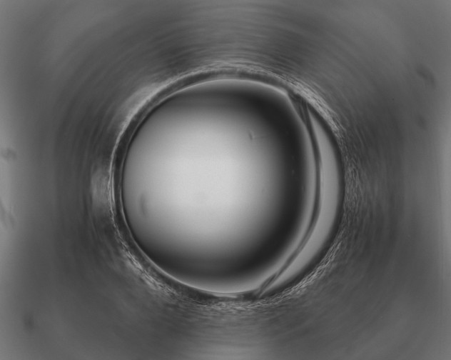 X0000090900888200708061502