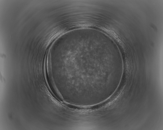 X0000090900889200708061502