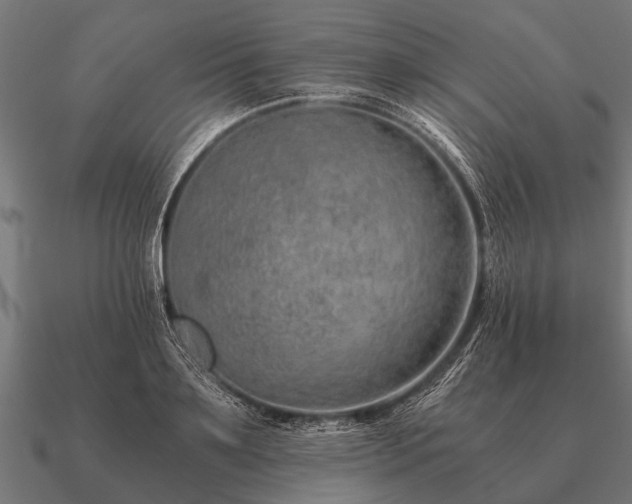 X0000090900891200708061502